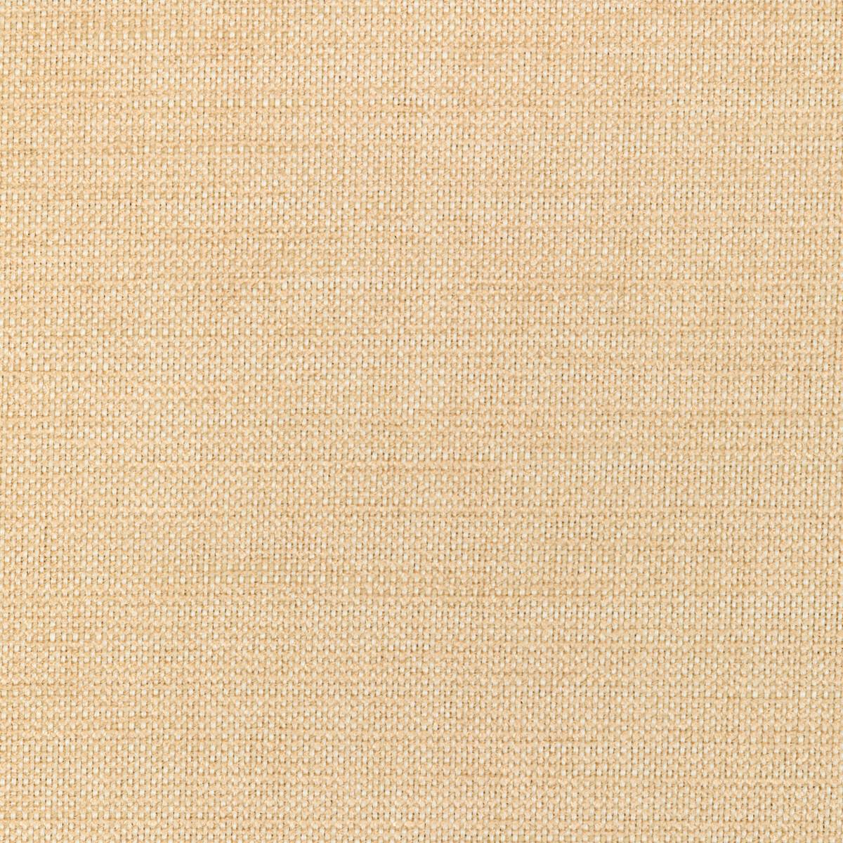 Kravet 36302 116 Fabric