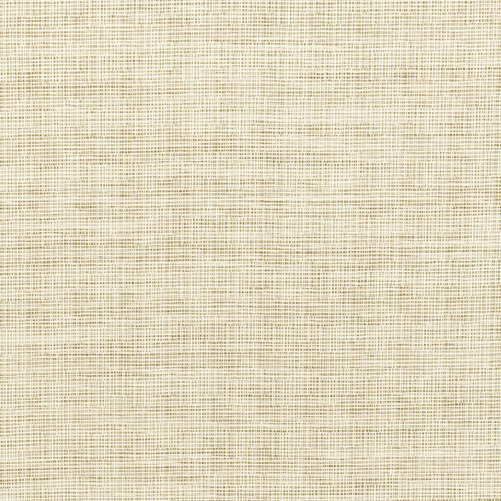 Kravet KRAVET SMART 36303-1 Fabric