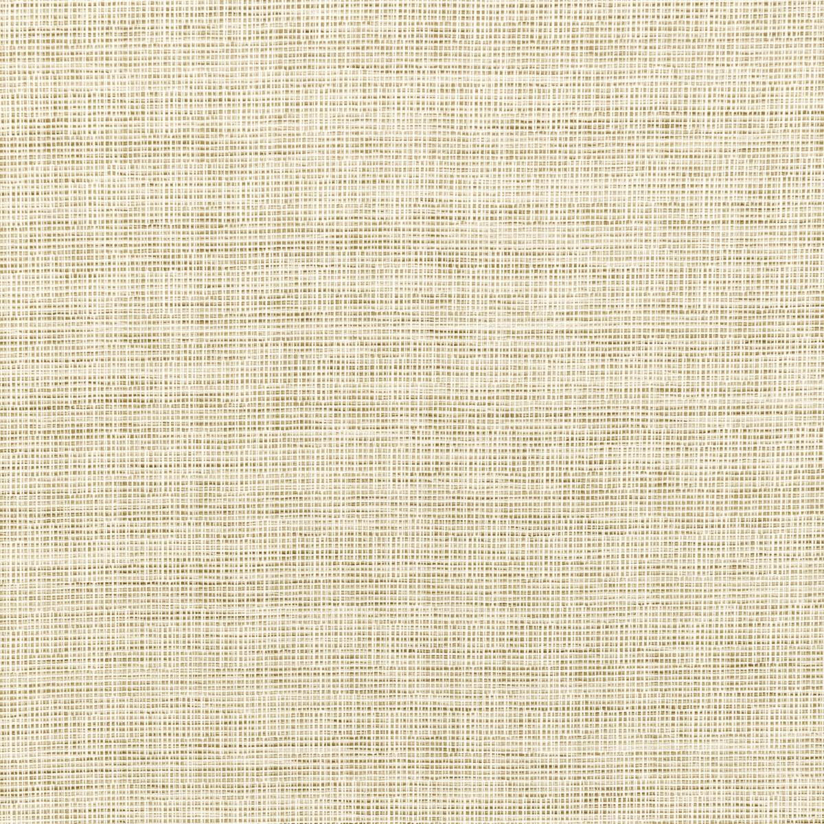 Kravet 36303 1 Fabric
