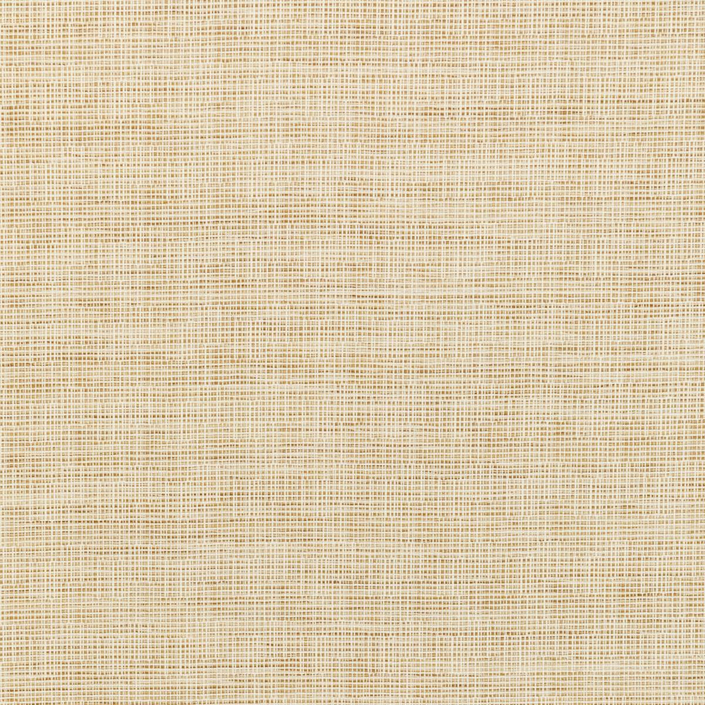 Kravet KRAVET SMART 36303-16 Fabric