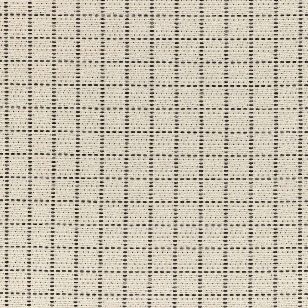 Kravet KRAVET SMART 36304-81 Fabric