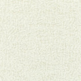 Kravet COUTURE 36596 101 Upholstery Fabric