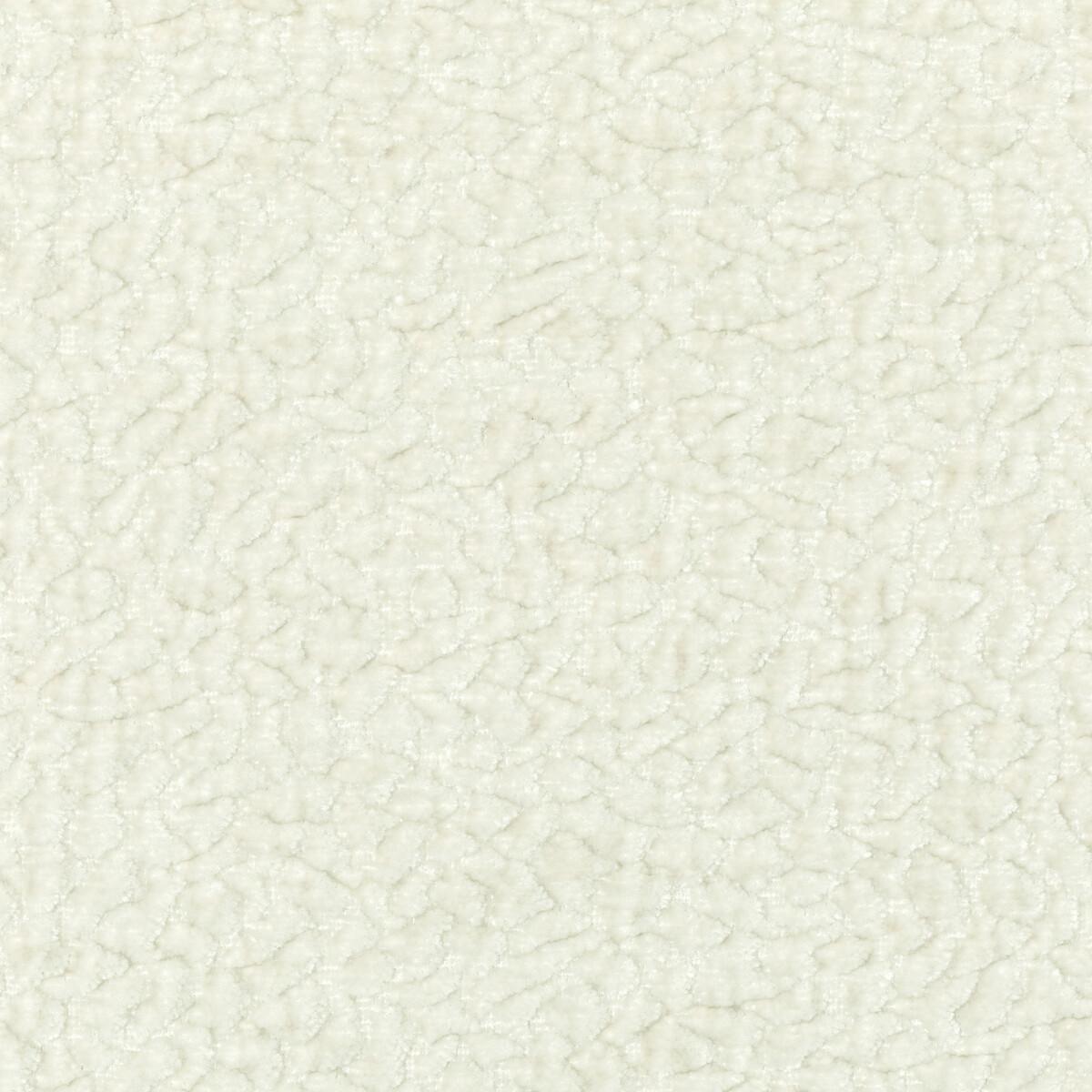 Kravet 36596 101 Fabric