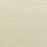 Kravet 4853 1116 Fabric