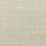 Kravet BASICS 4853 1116 Drapery Fabric