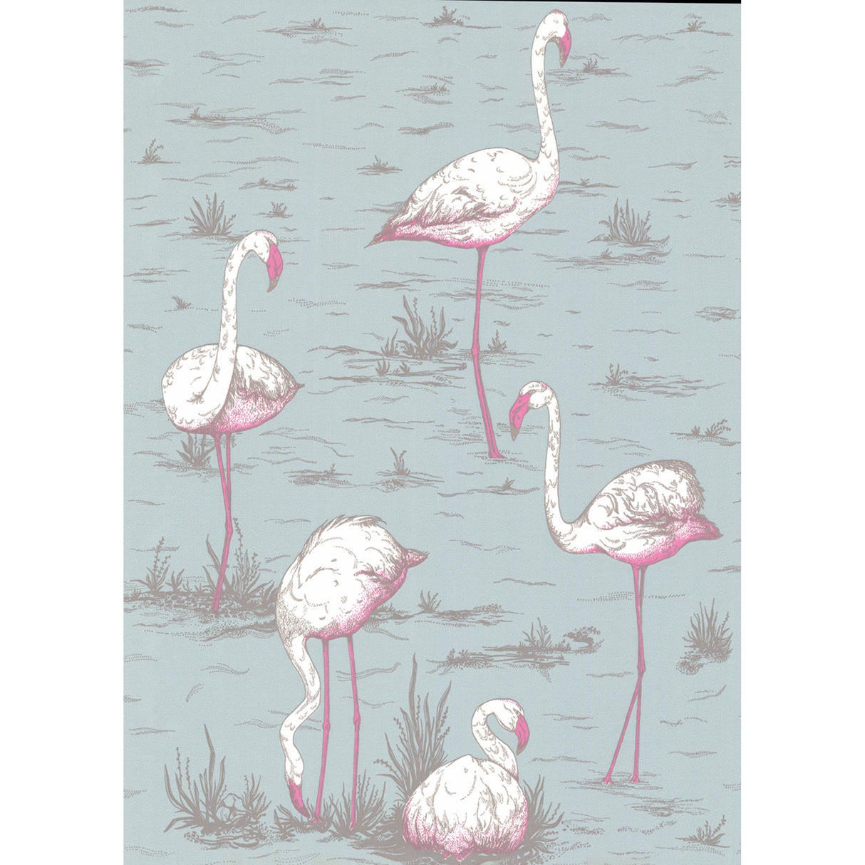 Cole & Son FLAMINGOS OALE BL Wallpaper