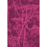 Cole & Son COW PARSLEY PRINT MAGENTA/PALM Fabric