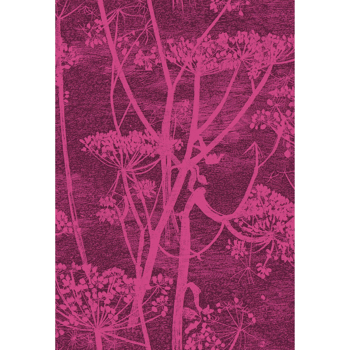 Cole & Son COW PARSLEY PRINT MAGENTA/PALM Fabric
