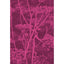 Cole & Son COW PARSLEY PRINT MAGENTA/PALM Fabric
