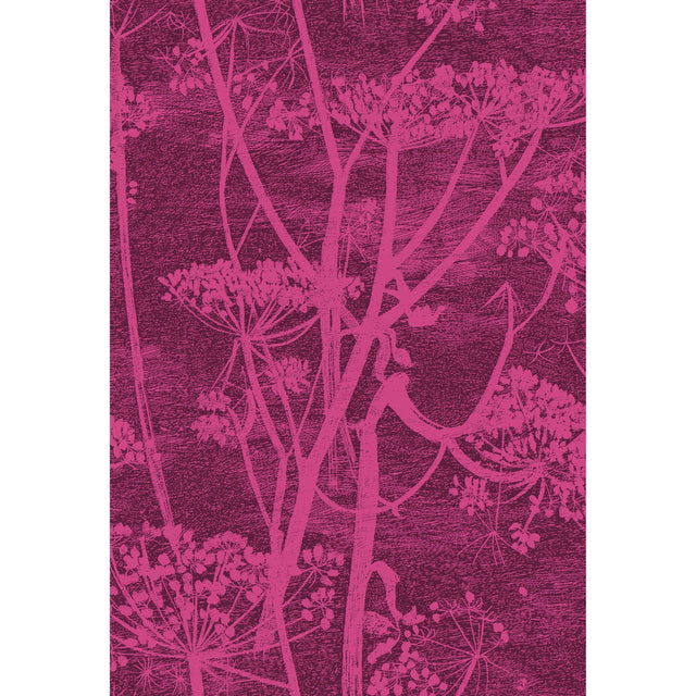 Cole & Son COW PARSLEY PRINT MAGENTA/PALM Fabric