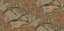 Mulberry GRAND FLYING DUCKS SAGE Wallpaper