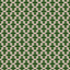 Gaston Y Daniela HAYAMI VERDE Fabric