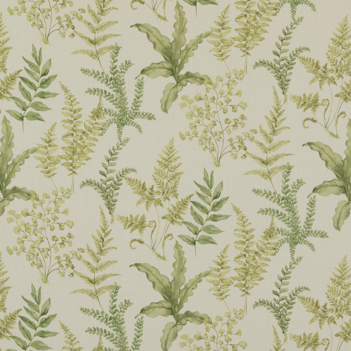 Baker Lifestyle FERNDOWN GREEN Fabric