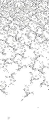 Kravet FALLING GINKGO WINTER Wallpaper