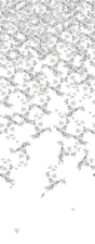 Kravet FALLING GINKGO WINTER Wallpaper
