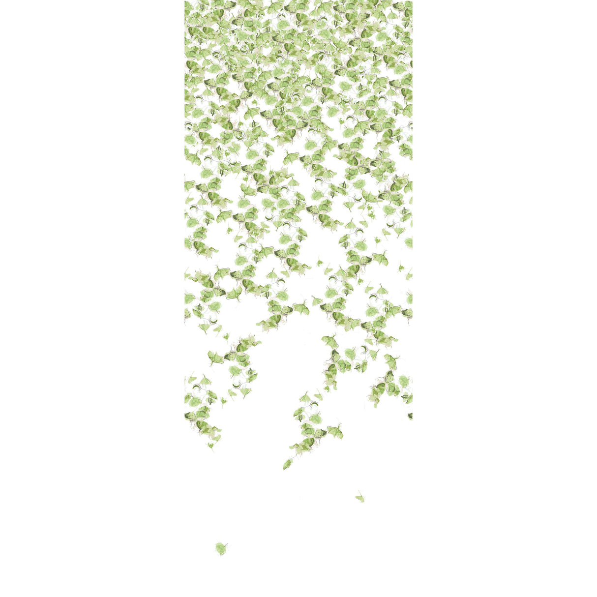 Kravet FALLING GINKGO SUMMER Wallpaper