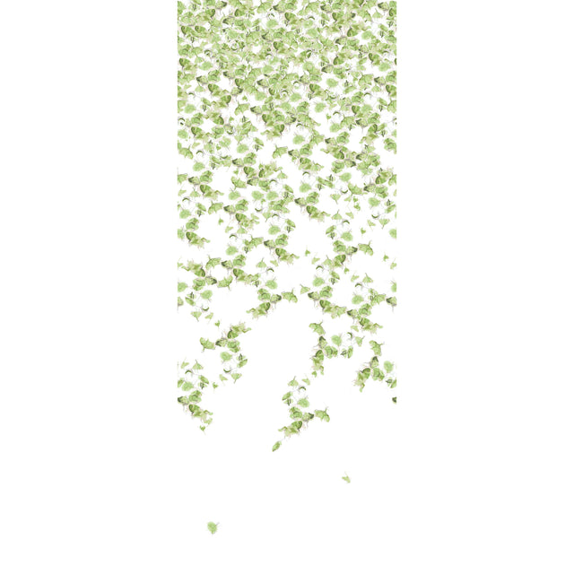Kravet FALLING GINKGO SUMMER Wallpaper