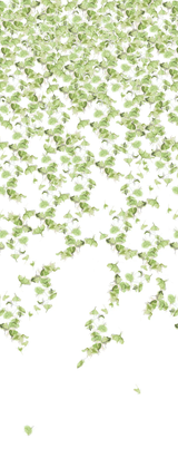 Kravet FALLING GINKGO SUMMER Wallpaper