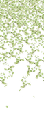 Kravet FALLING GINKGO SUMMER Wallpaper