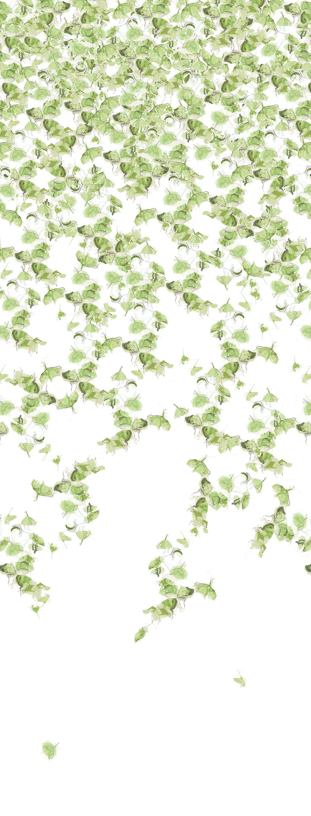 Kravet FALLING GINKGO SUMMER Wallpaper
