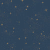 Roommates Upon A Star Peel And Stick Navy Wallpaper