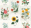 Rifle Paper Co. Botanical Prints White Wallpaper
