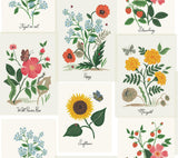 Rifle Paper Co. Botanical Prints White/Pink Wallpaper
