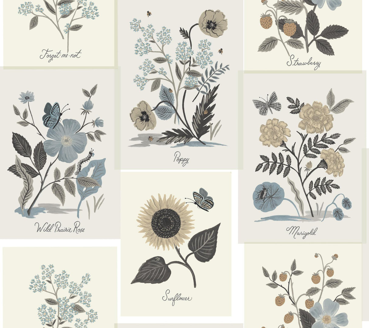 Rifle Paper Co. Botanical Prints Beige/Black Wallpaper
