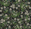 Rifle Paper Co. Cornflower Black Wallpaper