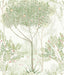 York Orchard White/Green Wallpaper