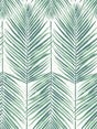 Seabrook Paradise Palm Tropic Green Wallpaper