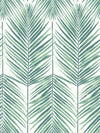 Seabrook Paradise Palm Tropic Green Wallpaper