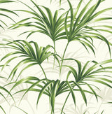 Seabrook Tropical Palm Leaf Green and Off-White Wallpaper