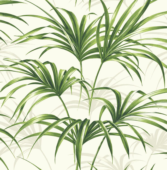 Seabrook Tropical Palm Leaf Green and Off-White Wallpaper