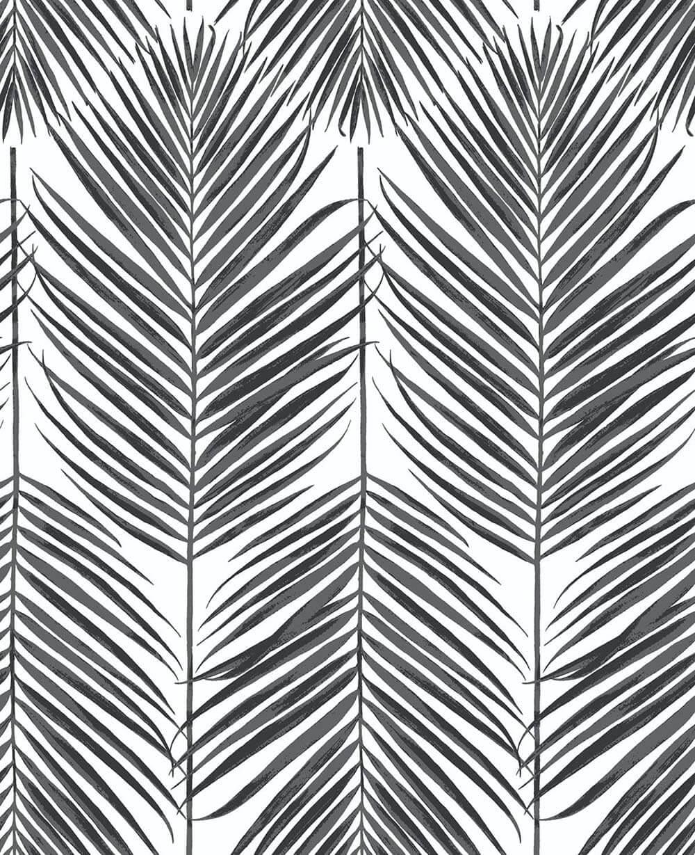 Seabrook Paradise Palm Ebony Wallpaper