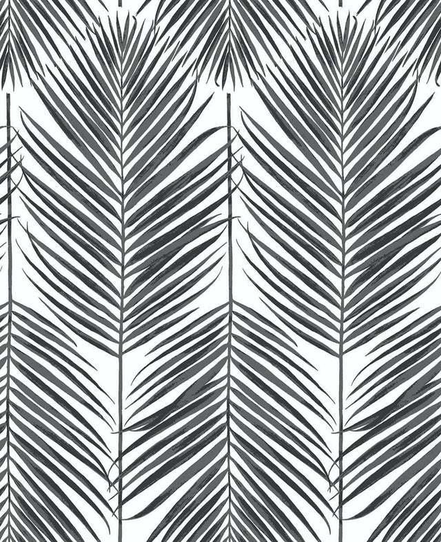 Seabrook Paradise Palm Ebony Wallpaper