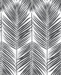 Seabrook Paradise Palm Ebony Wallpaper
