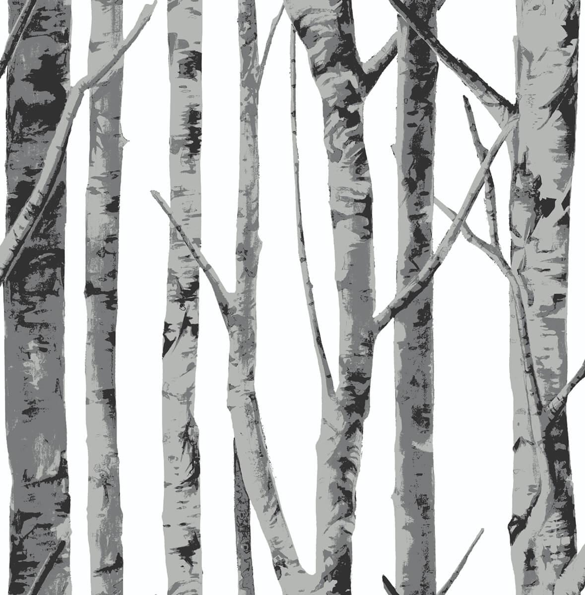 Seabrook Birch Trees Monochrome Wallpaper