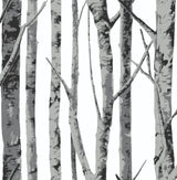 Seabrook Birch Trees Monochrome Wallpaper