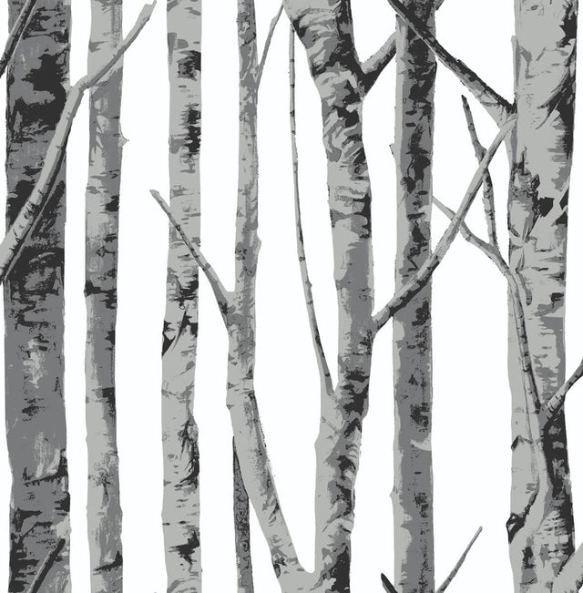 Seabrook Birch Trees Monochrome Wallpaper