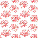 Seabrook Coastal Coral Reef Vermillion Wallpaper
