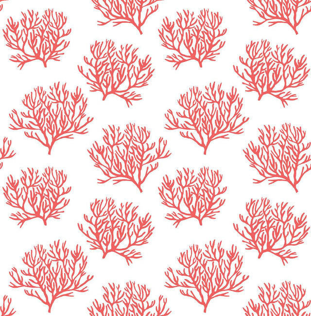 Seabrook Coastal Coral Reef Vermillion Wallpaper