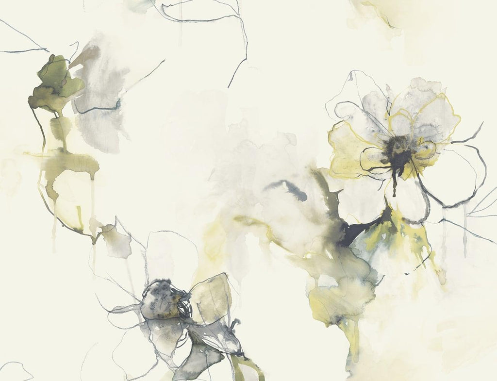 Seabrook Anemone Watercolor Floral Dark Ash and Canary Wallpaper