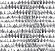 Seabrook Brush Marks Black and White Wallpaper