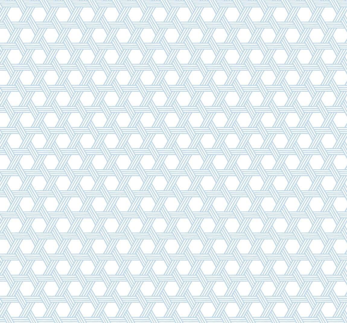 Seabrook Cabana Wicker Carolina Blue and Eggshell Wallpaper