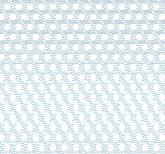 Seabrook Cabana Wicker Carolina Blue and Eggshell Wallpaper