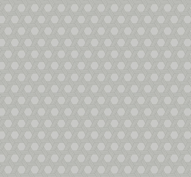 Seabrook Cabana Wicker Cove Gray Wallpaper