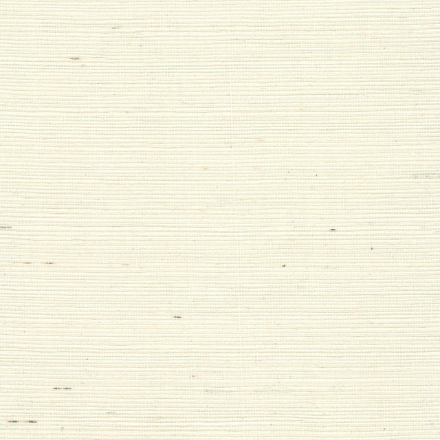 Seabrook Sisal Grasscloth French Vanilla Wallpaper