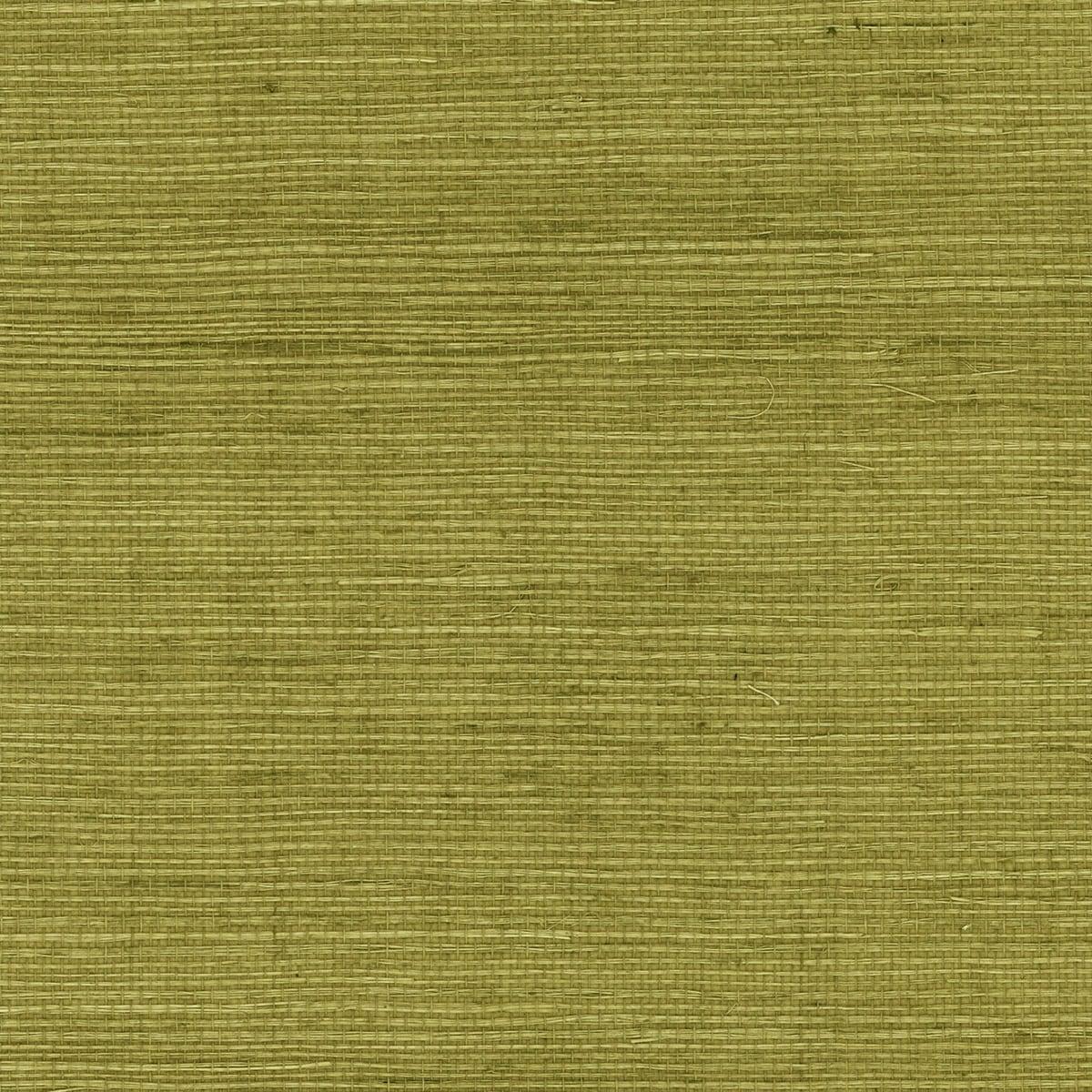 Seabrook Sisal Grasscloth Olive Wallpaper