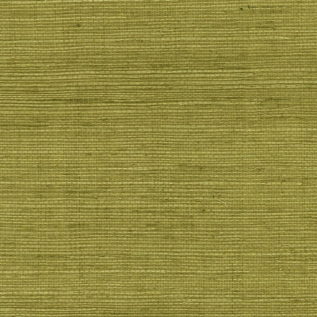 Seabrook Sisal Grasscloth Olive Wallpaper
